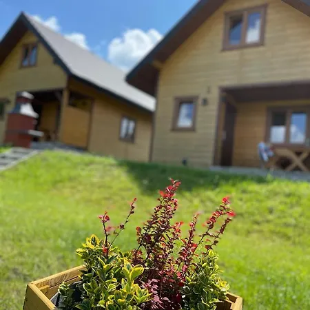 Pod Beskidem * Wysowa-Zdroj